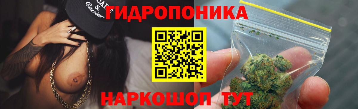 Бошки Шишки SATIVA & INDICA  Конопля семена  МАРИХУАНА Amnesia  Нягань  Вход с VPN 